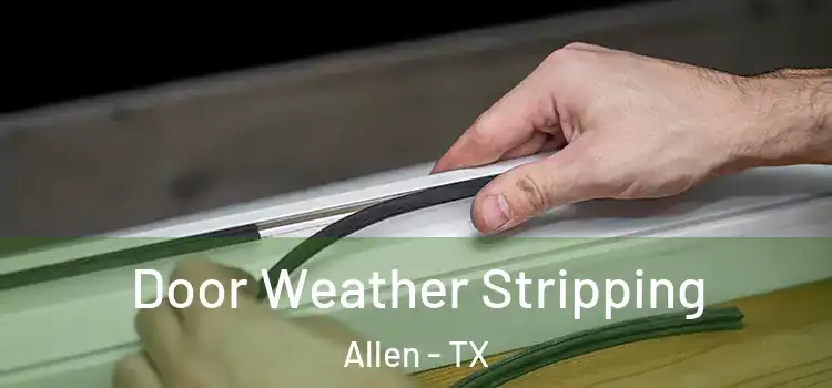  Door Weather Stripping Allen - TX